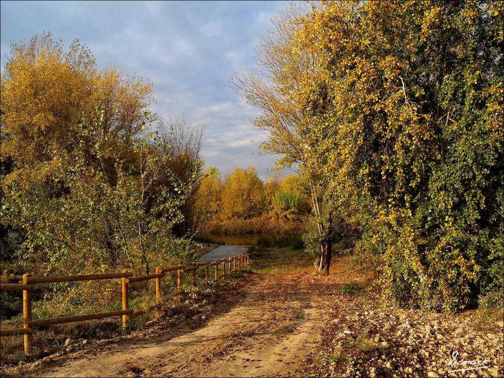 Foto de Zaragoza (Aragón), España