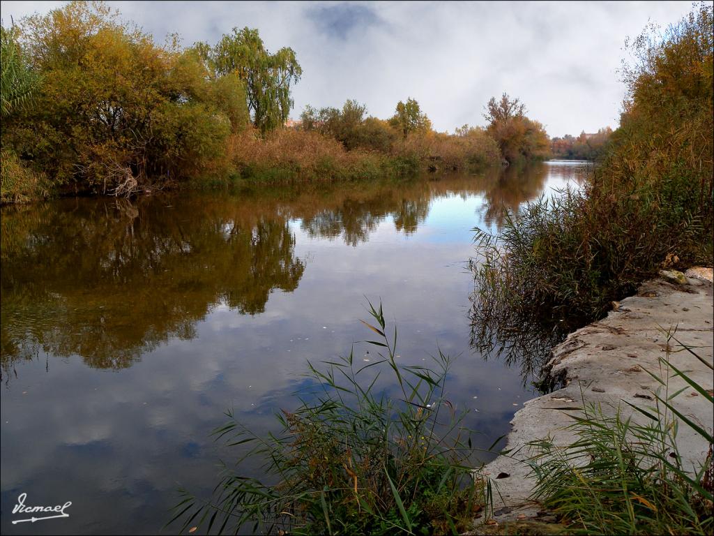 Foto de Zaragoza (Aragón), España