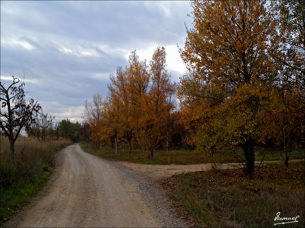 Foto de Zaragoza (Aragón), España