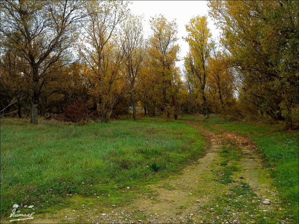 Foto de Zaragoza (Aragón), España