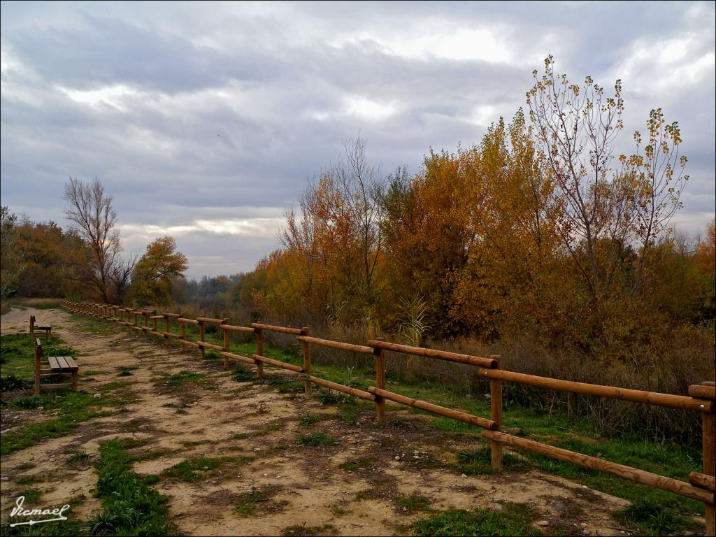 Foto de Zaragoza (Aragón), España