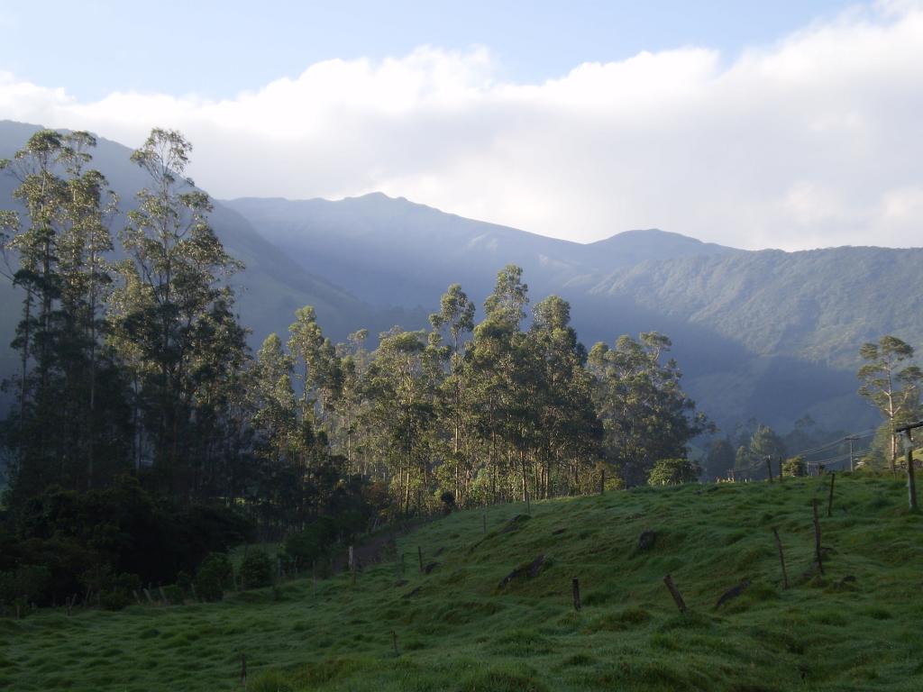 Foto de Vareda El Barranco (Narino), Colombia