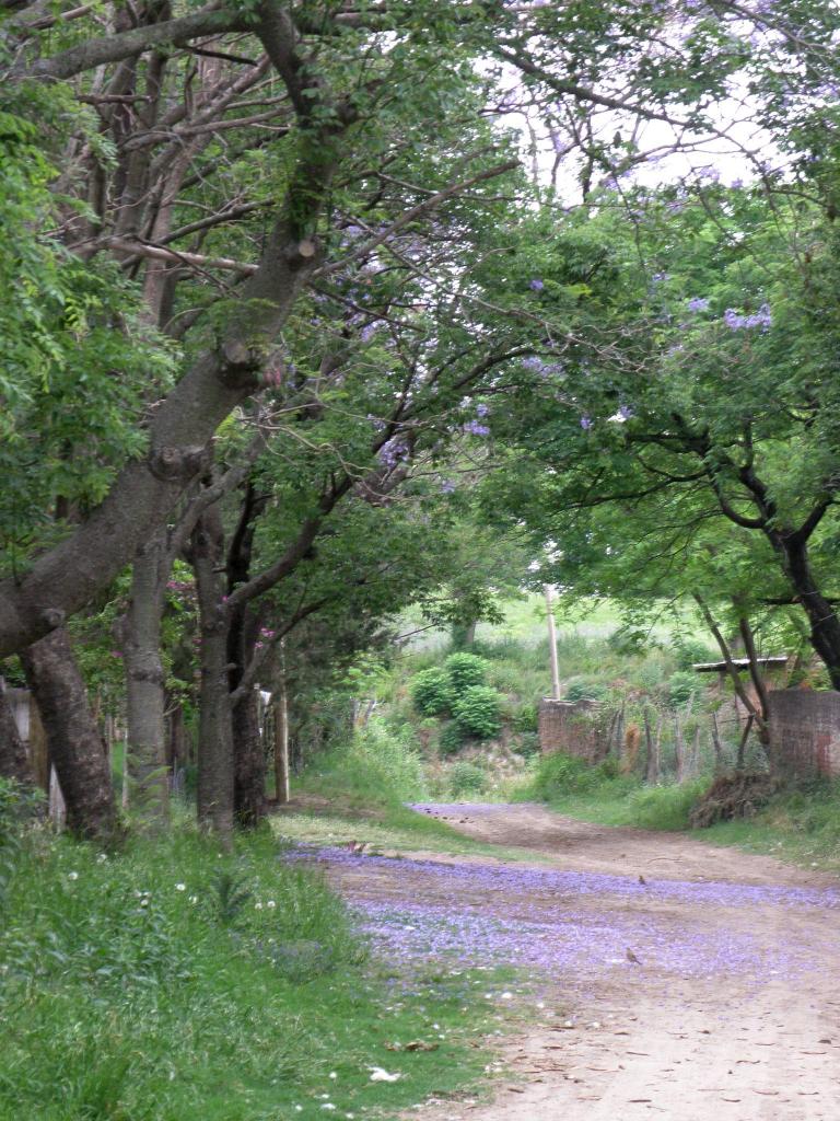 Foto de Victoria (Entre Ríos), Argentina