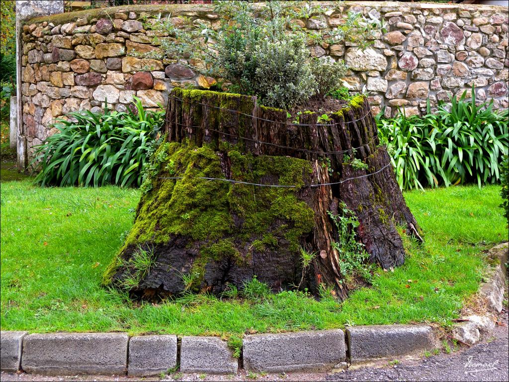 Foto de Liérganes (Cantabria), España