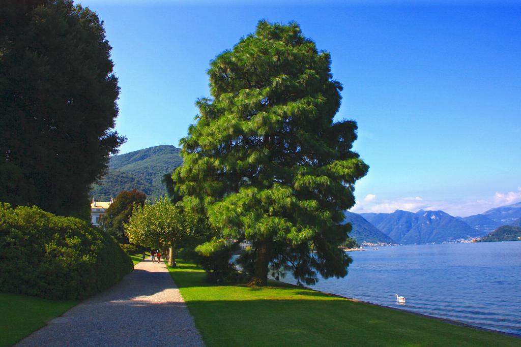 Foto de Bellagio, Italia