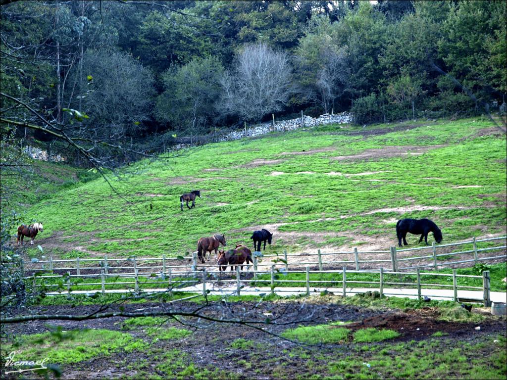 Foto de Liérganes (Cantabria), España