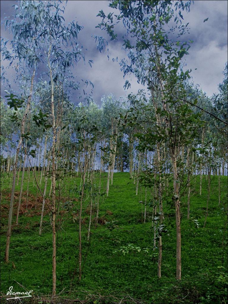 Foto de Liérganes (Cantabria), España