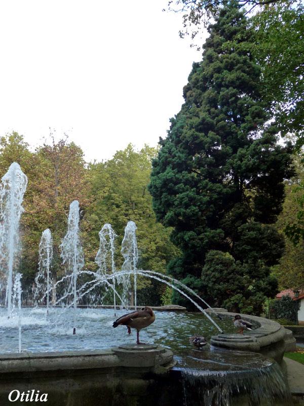 Foto de Oviedo (Asturias), España