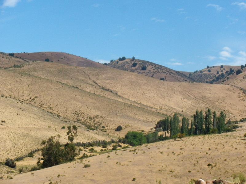 Foto de Illapel, Chile