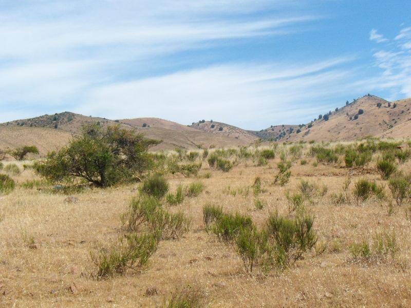 Foto de Illapel, Chile