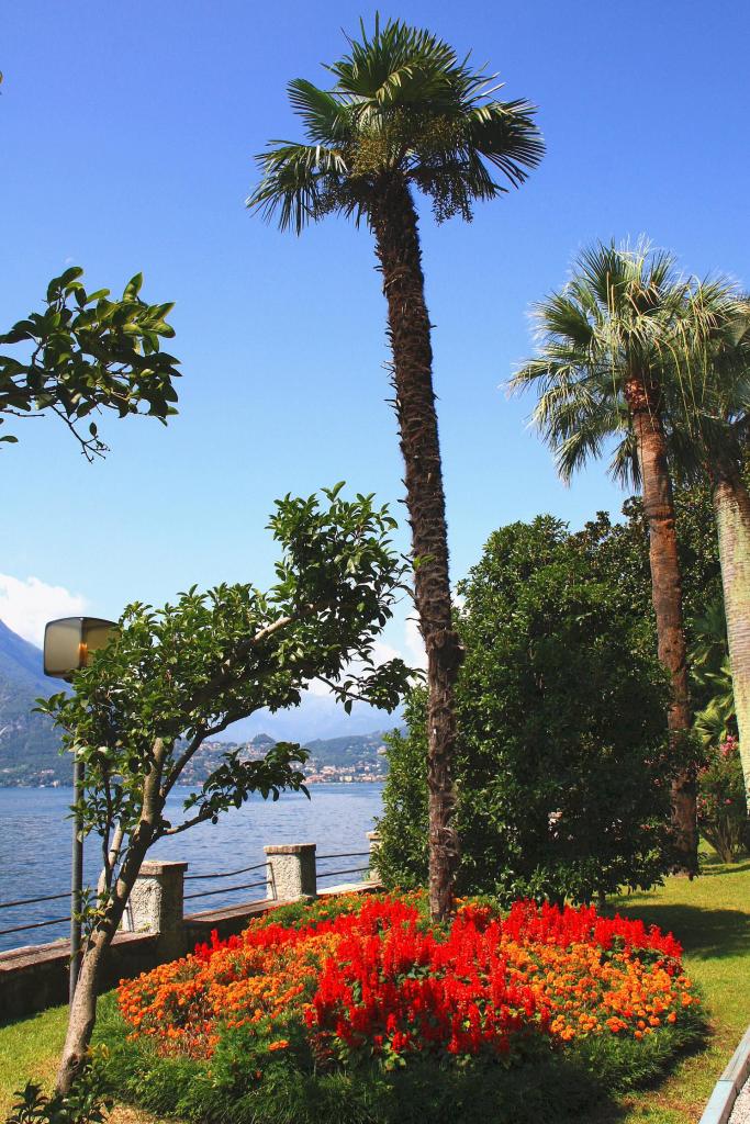 Foto de Varenna, Italia