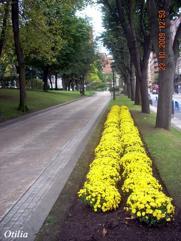 Foto de Oviedo (Asturias), España