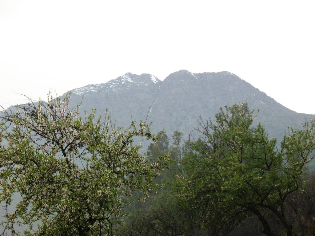 Foto de Cajon de Maipo, Chile