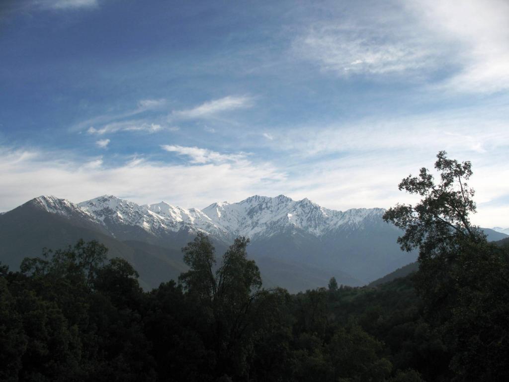 Foto de Cajon de Maipo, Chile