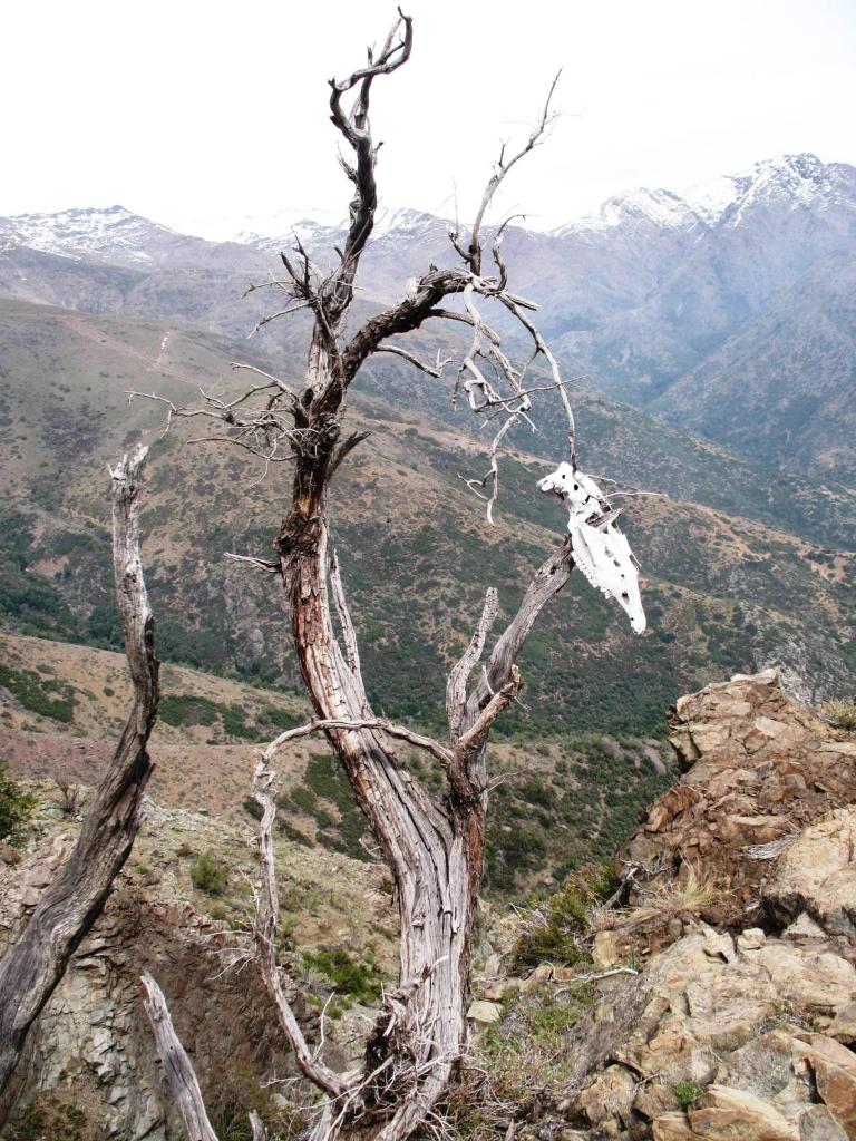 Foto de Cajon de Maipo, Chile