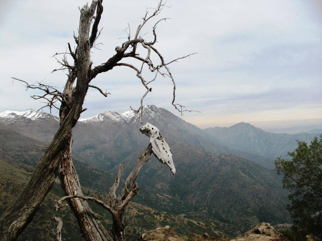 Foto de Cajon de Maipo, Chile