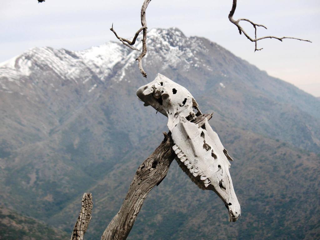 Foto de Cajon de Maipo, Chile