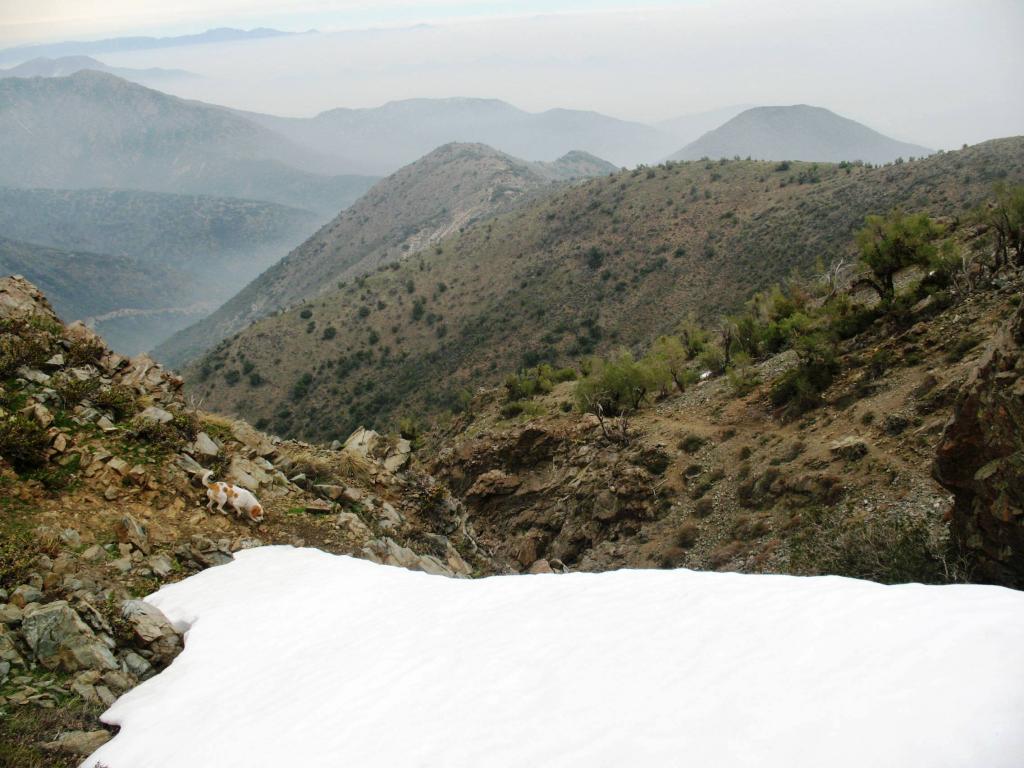 Foto de Cajon de Maipo, Chile