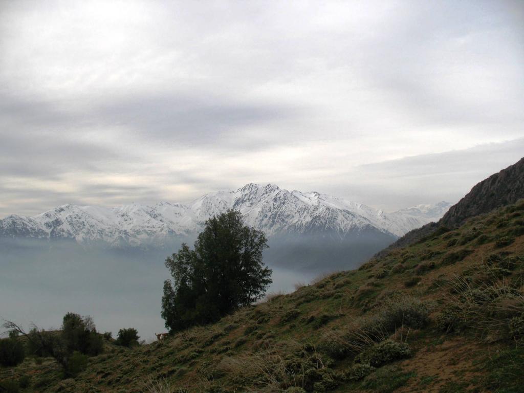 Foto de Cajon de Maipo, Chile