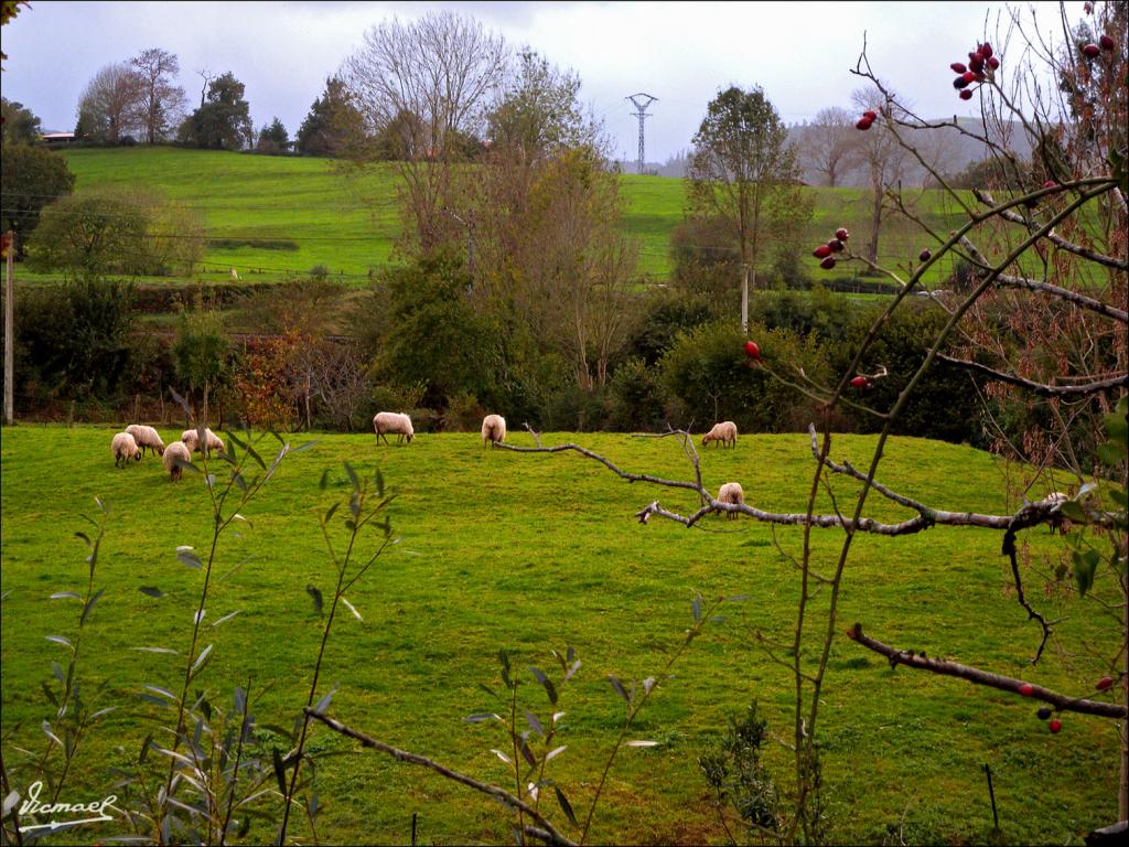 Foto de Liérganes (Cantabria), España