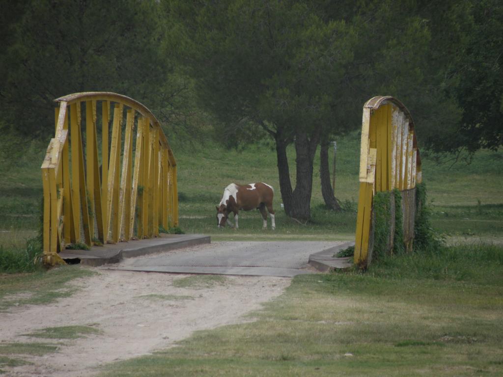 Foto de Victoria (Entre Ríos), Argentina