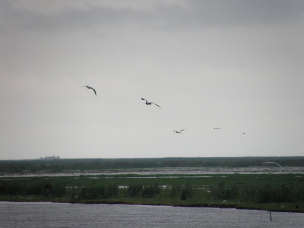 Foto de Victoria (Entre Ríos), Argentina