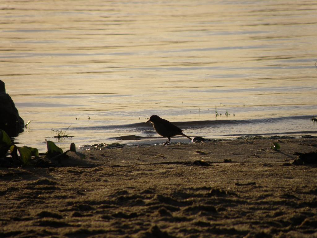 Foto de Victoria (Entre Ríos), Argentina