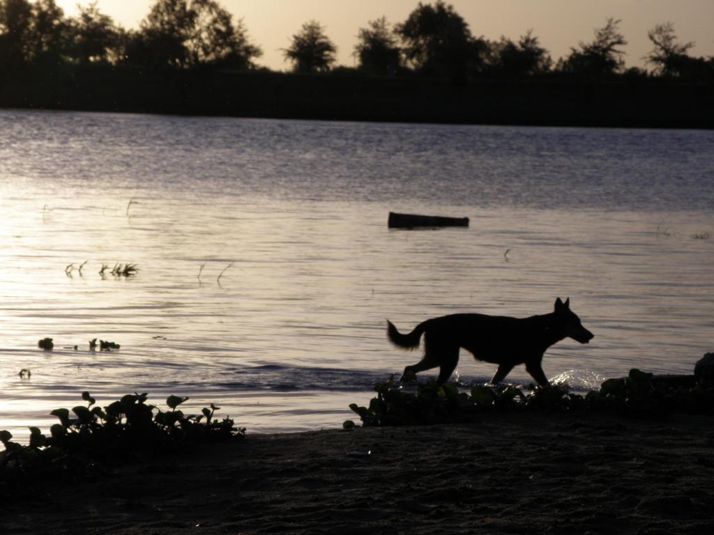 Foto de Victoria (Entre Ríos), Argentina