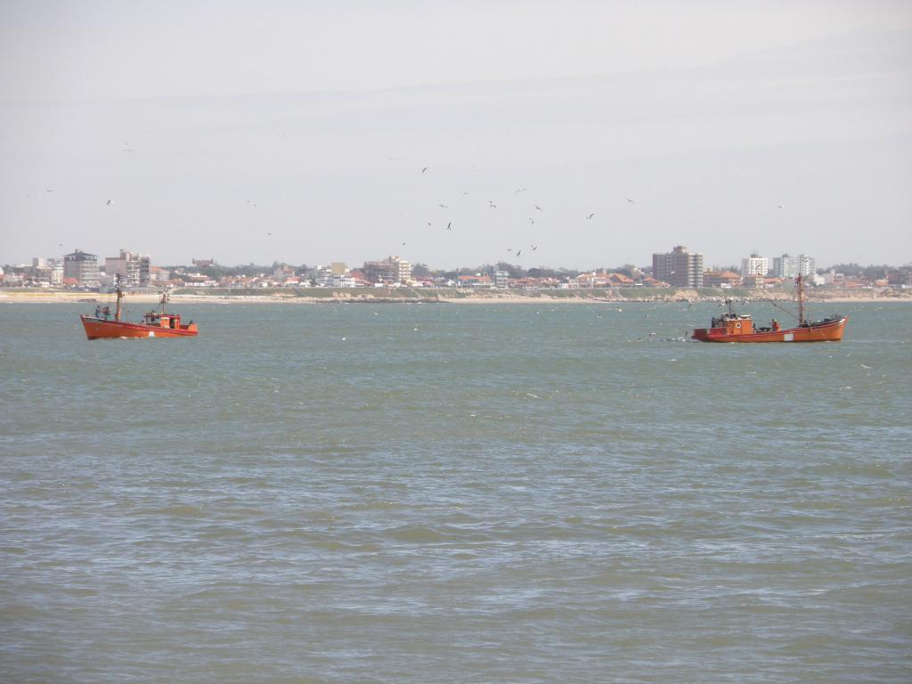 Foto de Mar del Plata (Buenos Aires), Argentina