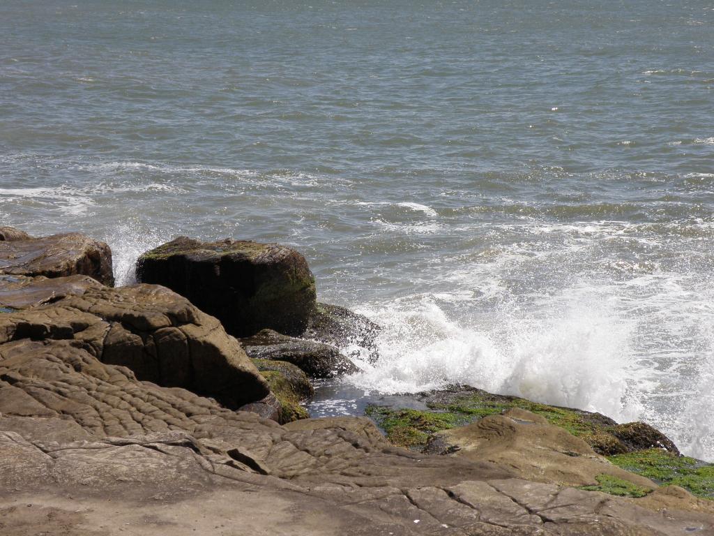 Foto de Mar del Plata (Buenos Aires), Argentina