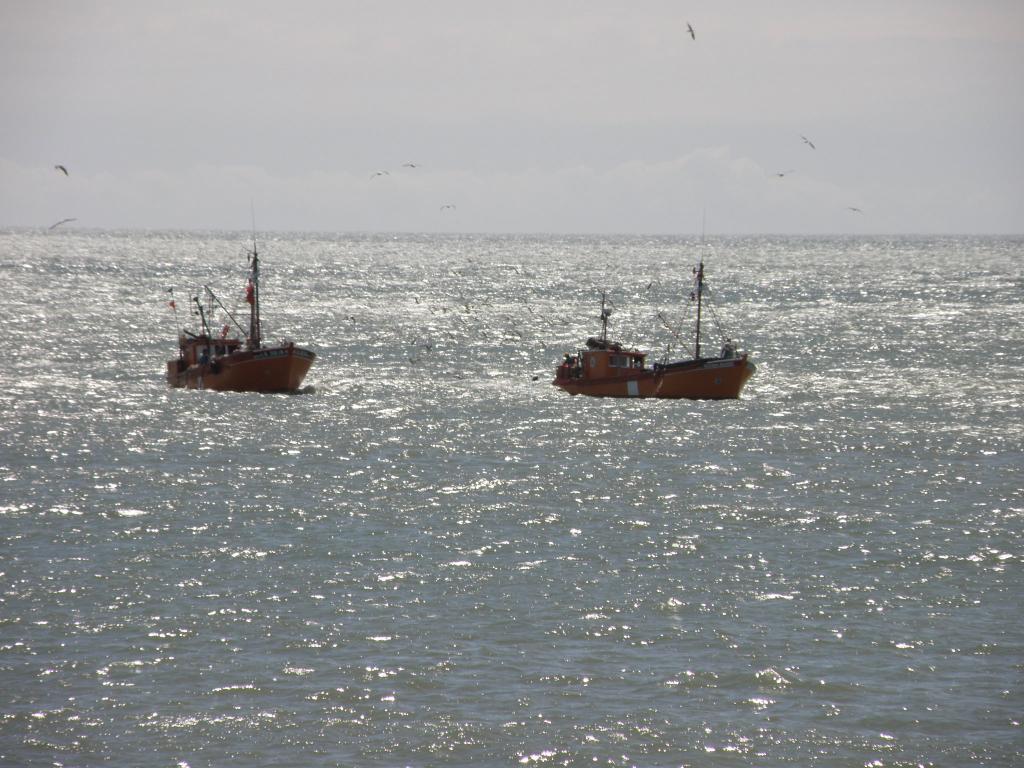 Foto de Mar del Plata (Buenos Aires), Argentina