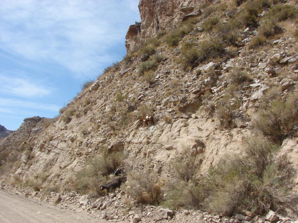 Foto de San Rafael (Mendoza), Argentina