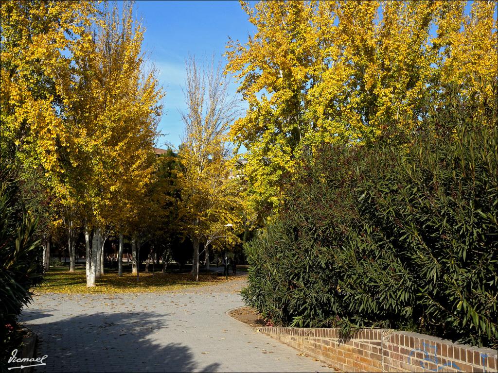 Foto de Zaragoza (Aragón), España