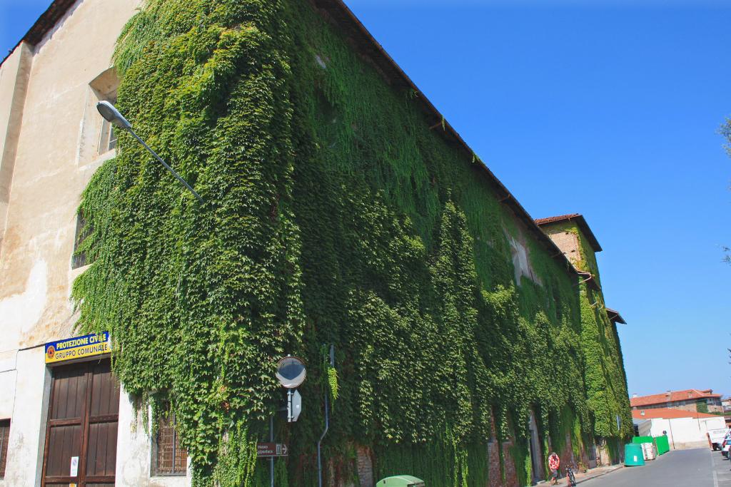 Foto de Savigliano, Italia