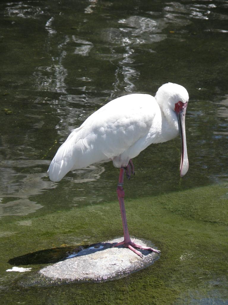 Foto de Belén de Escobar (Buenos Aires), Argentina