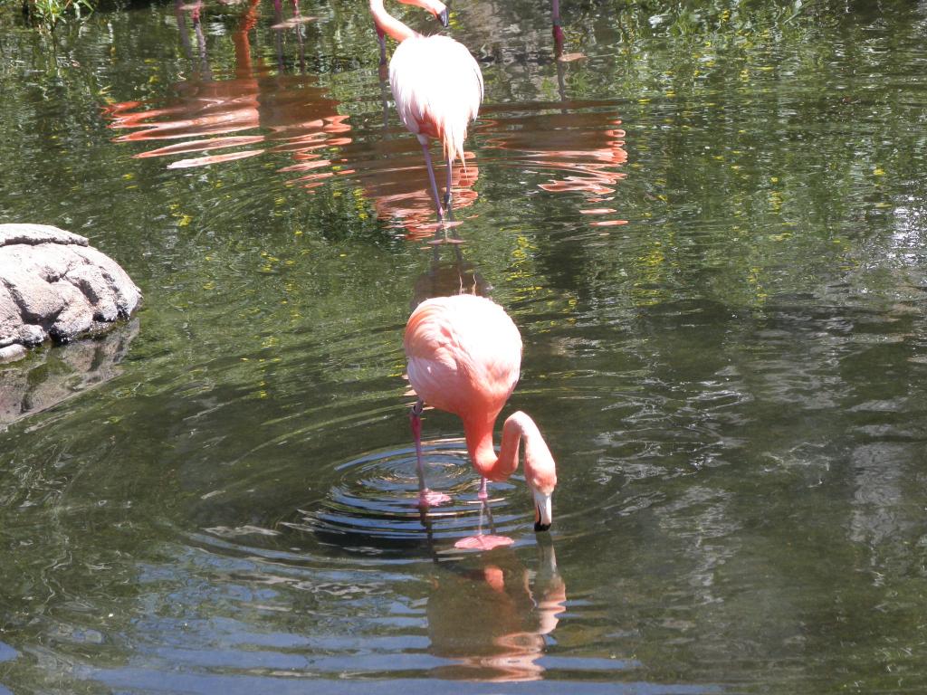 Foto de Belén de Escobar (Buenos Aires), Argentina