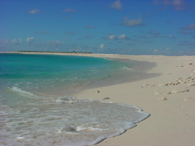 Foto de Isla de Aves, Venezuela