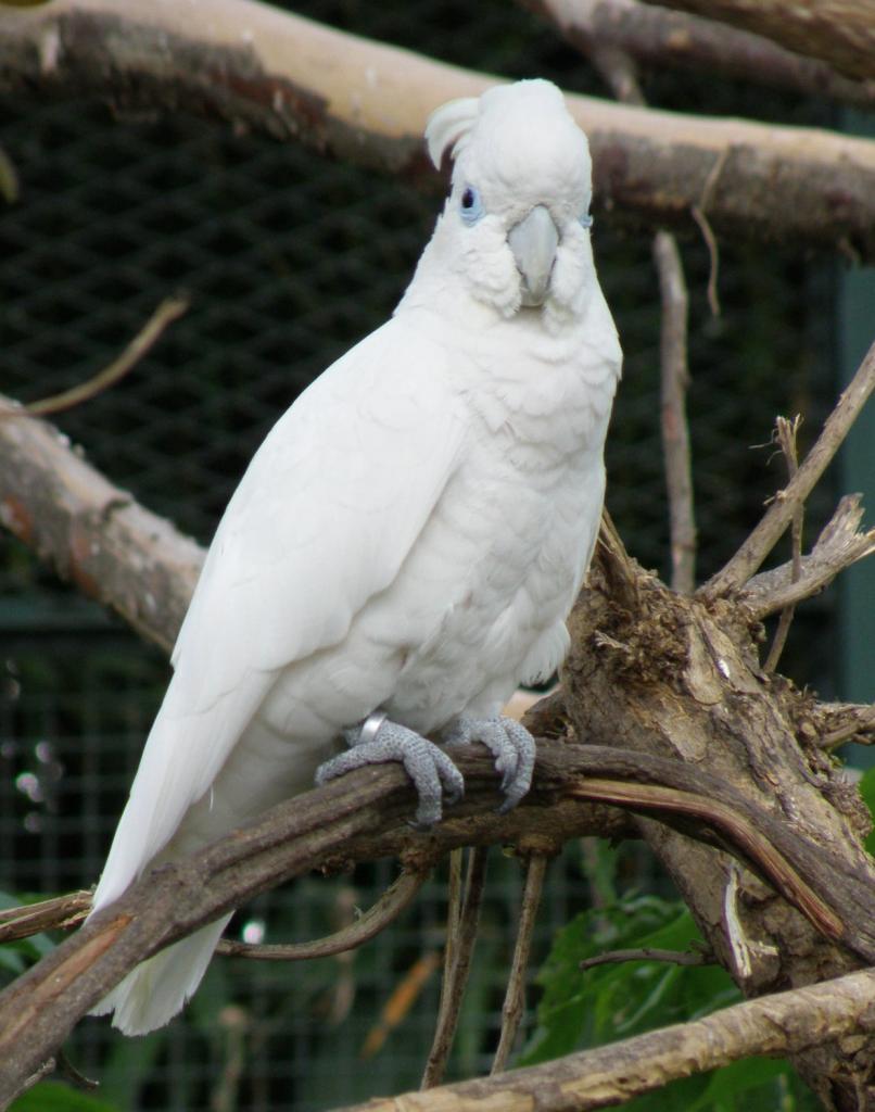 Foto de Belén de Escobar (Buenos Aires), Argentina