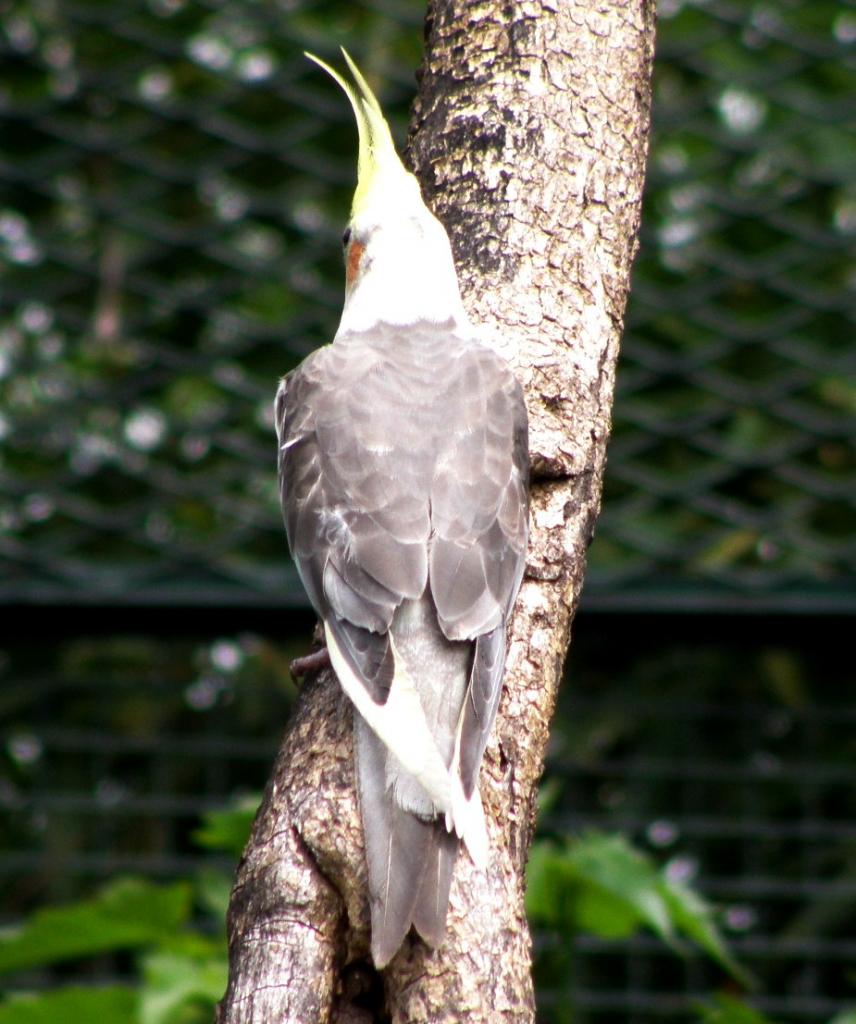 Foto de Belén de Escobar (Buenos Aires), Argentina