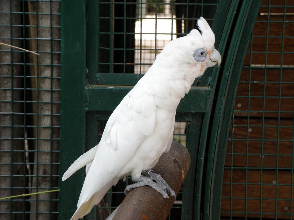 Foto de Belén de Escobar (Buenos Aires), Argentina