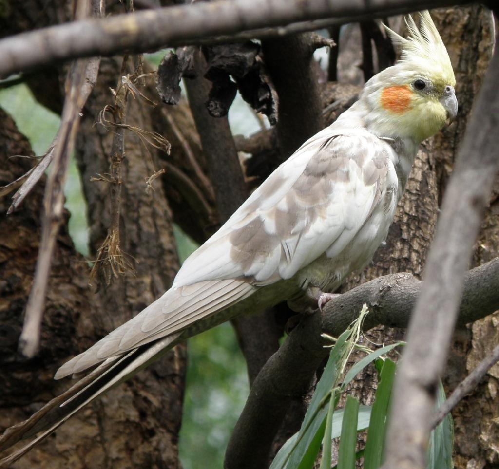 Foto de Belén de Escobar (Buenos Aires), Argentina