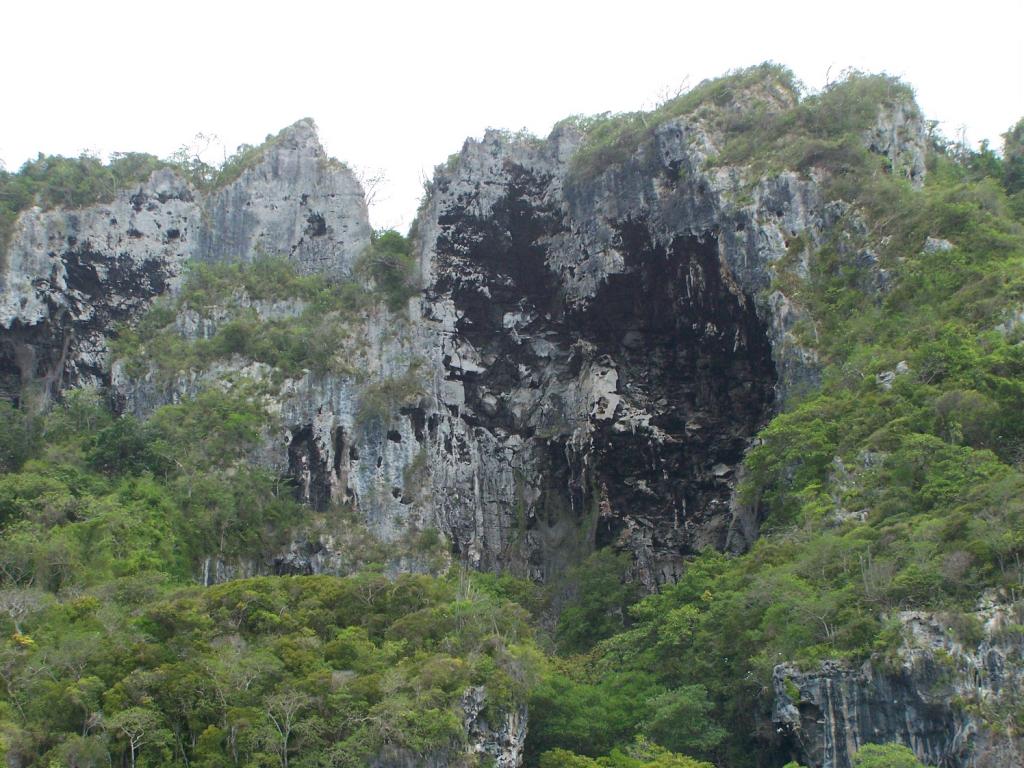 Foto de Falcon (Cueva del Indio), Venezuela