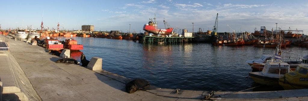 Foto de Mar del Plata (Buenos Aires), Argentina