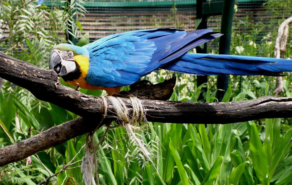 Foto de Belén de Escobar (Buenos Aires), Argentina