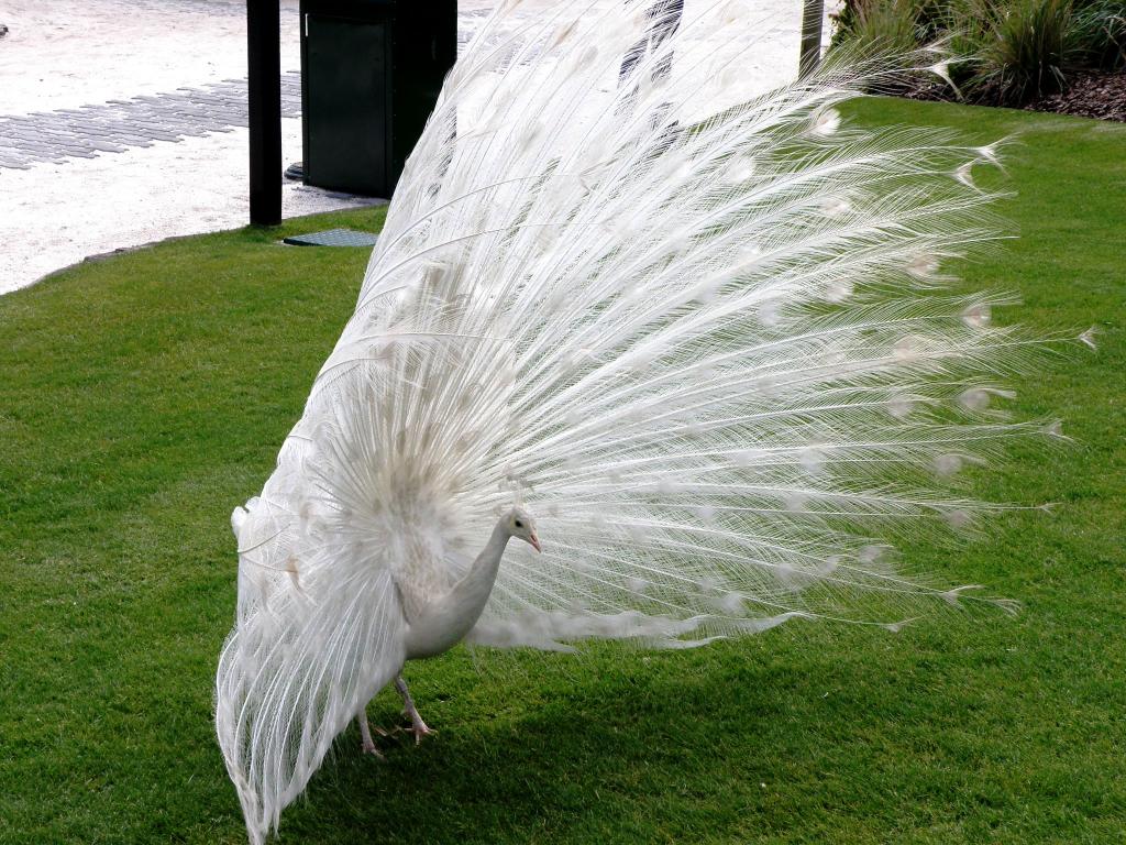 Foto de Belén de Escobar (Buenos Aires), Argentina