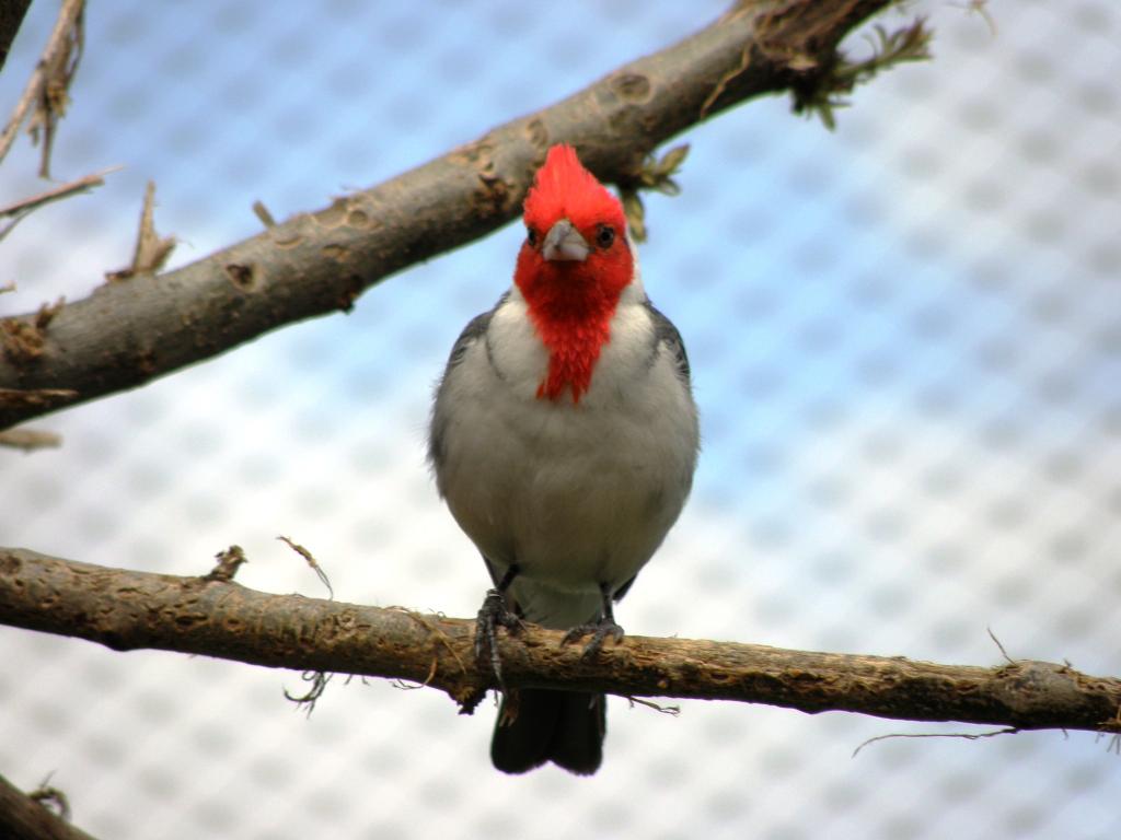 Foto de Belén de Escobar (Buenos Aires), Argentina