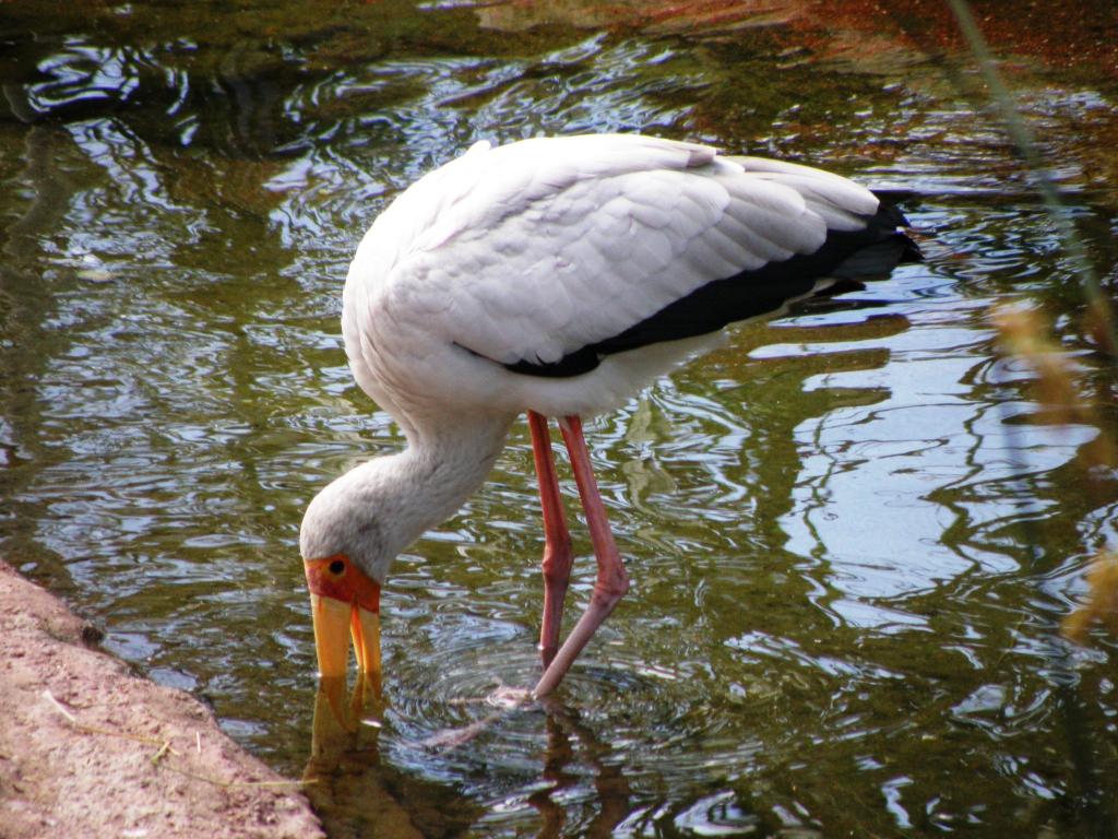 Foto de Belén de Escobar (Buenos Aires), Argentina