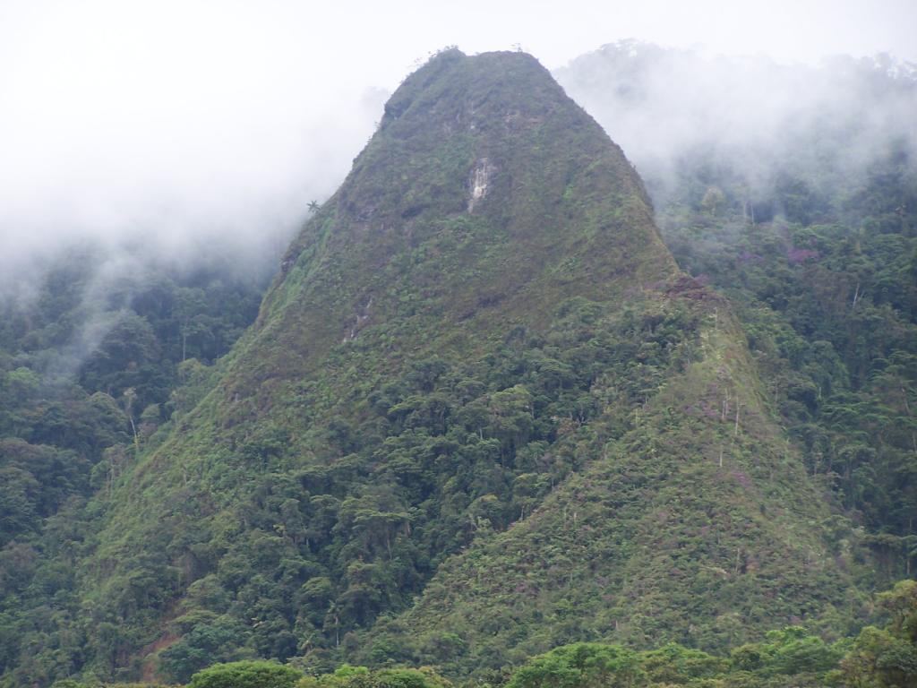 Foto de Numbami, Ecuador