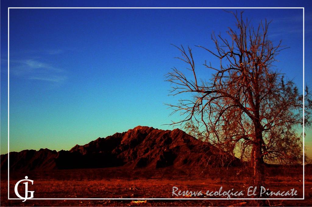 Foto de Peñasco (Sonora), México