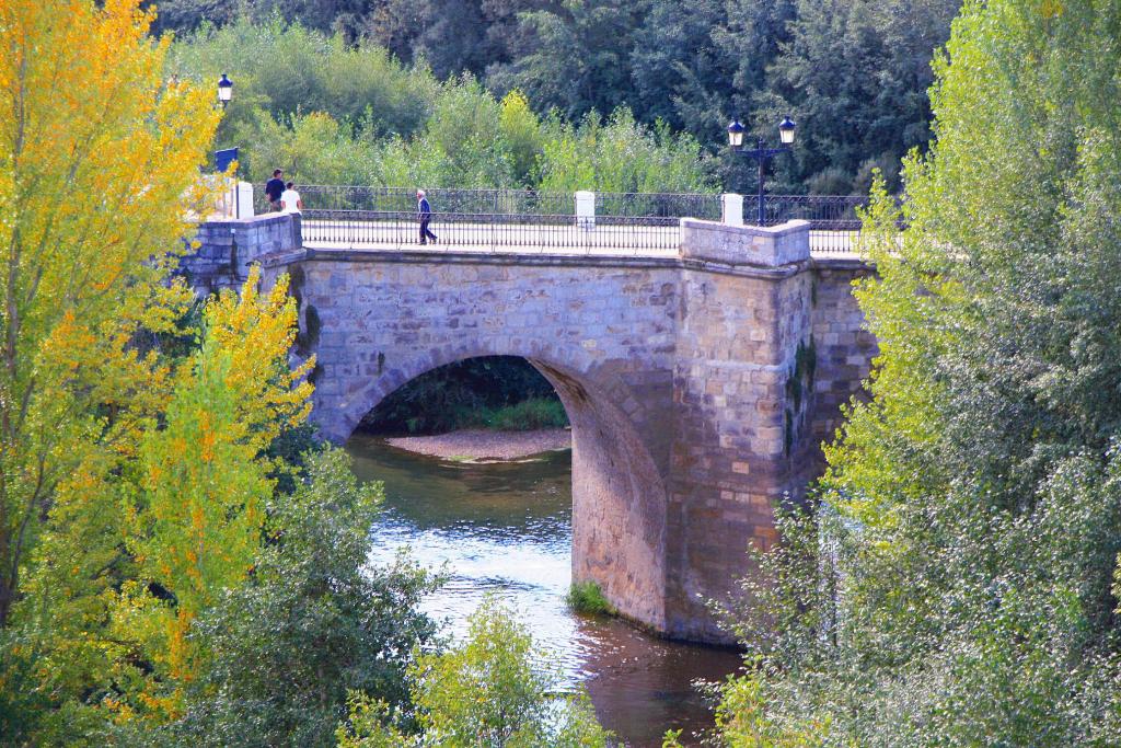 Foto de Carrión de los Condes (Palencia), España